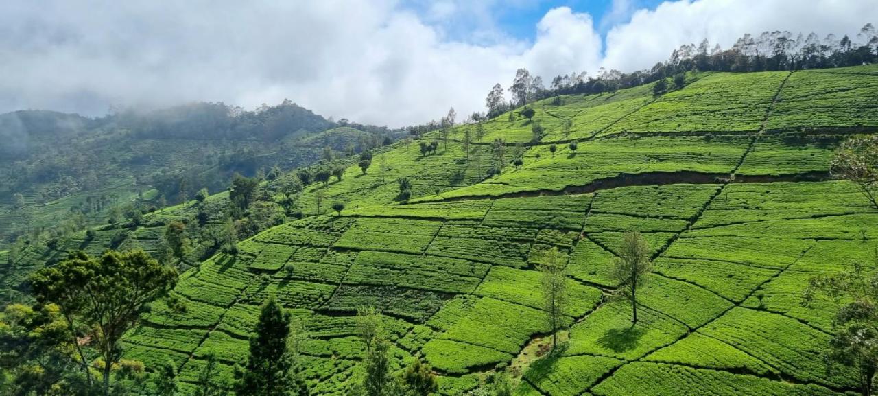 Blue Moon Hotel Nuwara Eliya Zewnętrze zdjęcie