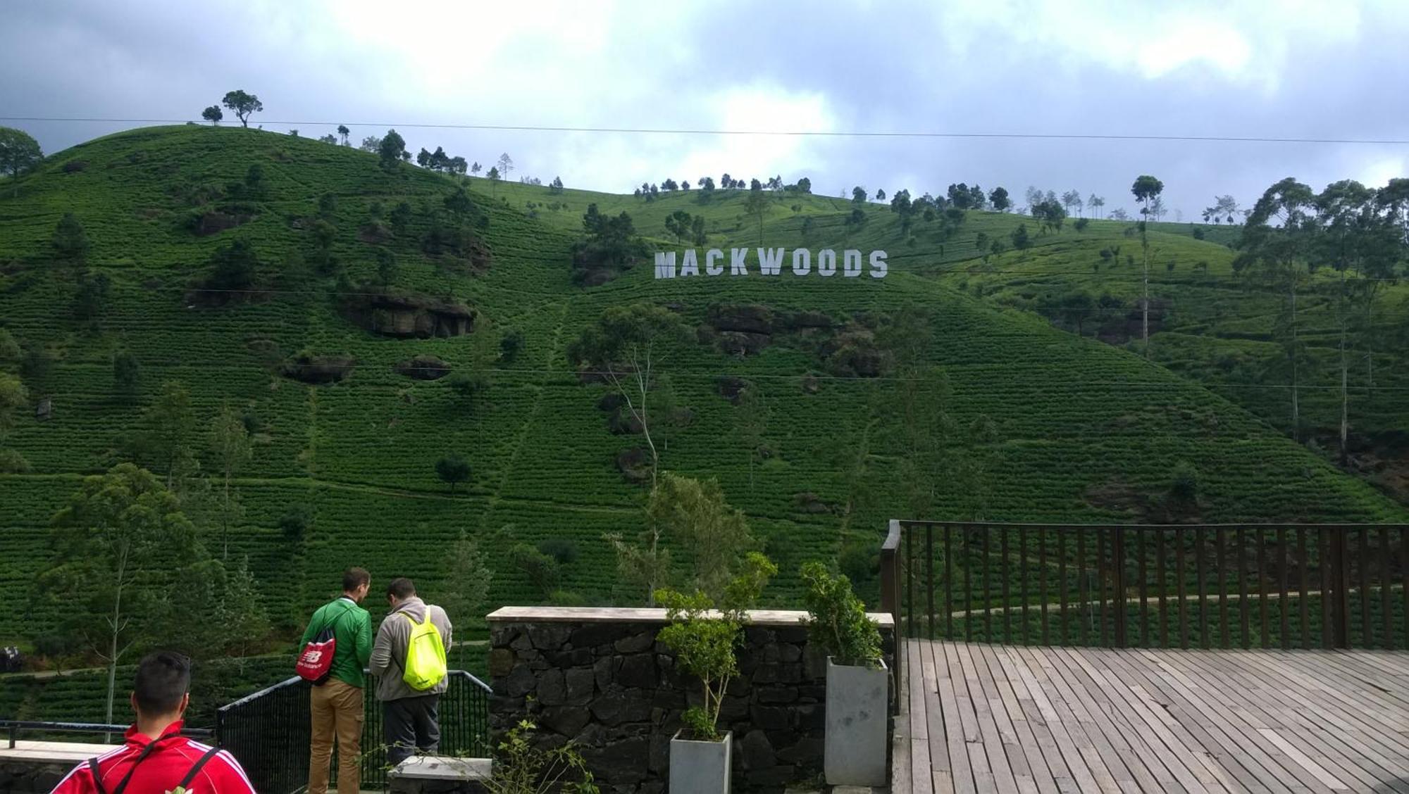 Blue Moon Hotel Nuwara Eliya Zewnętrze zdjęcie